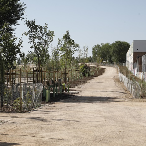 San Blas-Canillejas contar&aacute; con un parque dedicado al papa Benedicto XVI