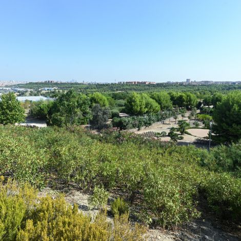 El parque de las Comunidades, ubicado en el distrito de Puente de Vallecas, es uno de los tesoros medioambientales menos conocidos de la capital