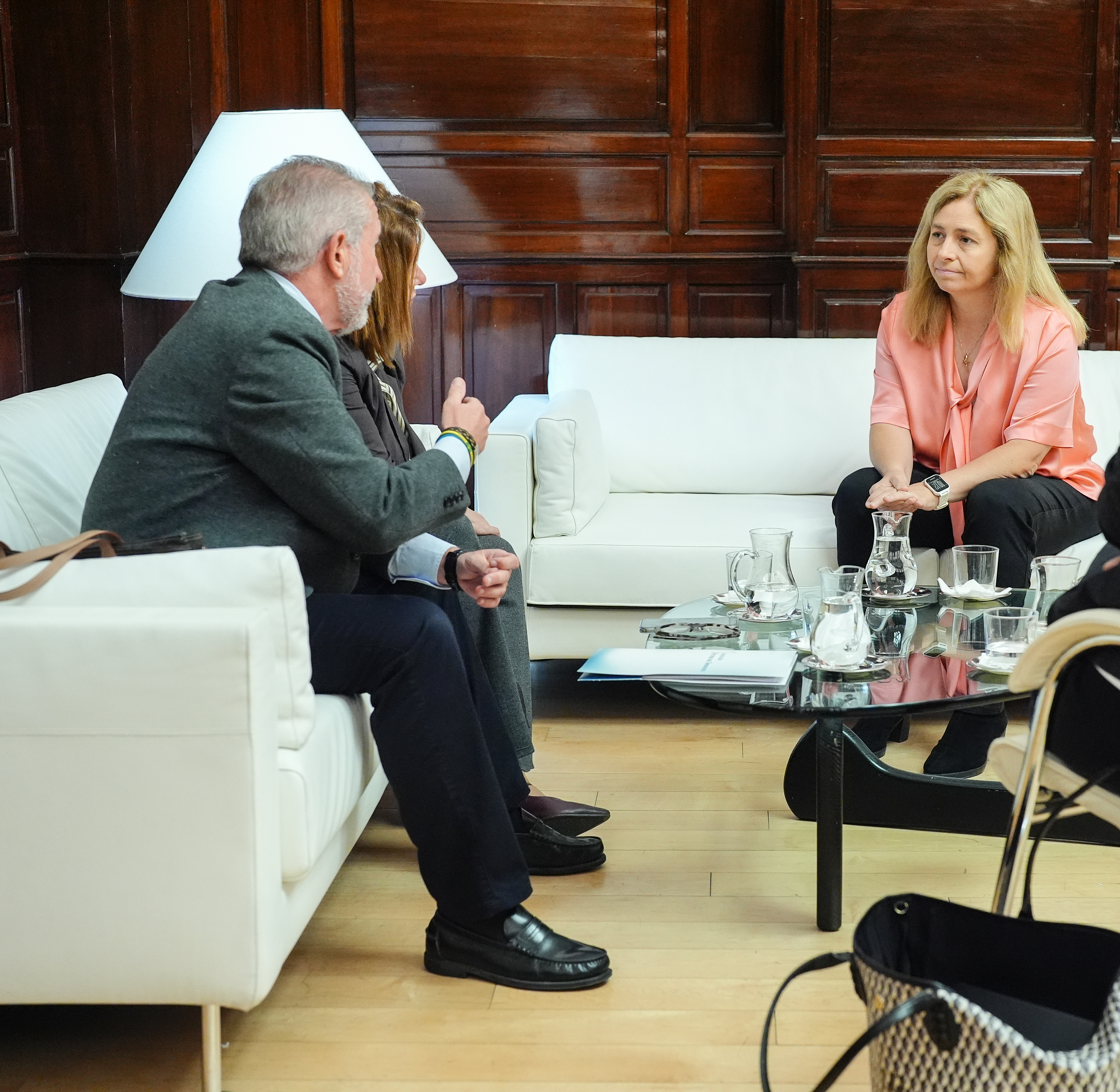 Sanz mantiene un encuentro con la presidenta de la Asociaci&oacute;n de V&iacute;ctimas del Terrorismo