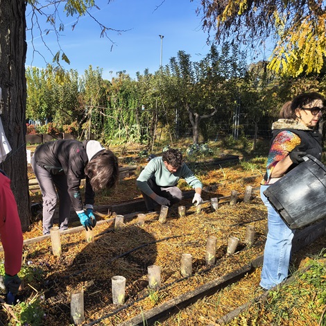 Madrid ofrece más de 400 actividades en el programa Hábitat sobre su patrimonio ambiental