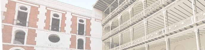 Banner frontones cartoteca