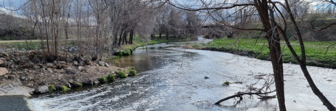 Banner biodiversidad