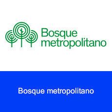 Bosque metropolitano