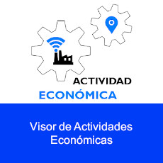 Visor de actividades econ&oacute;micas
