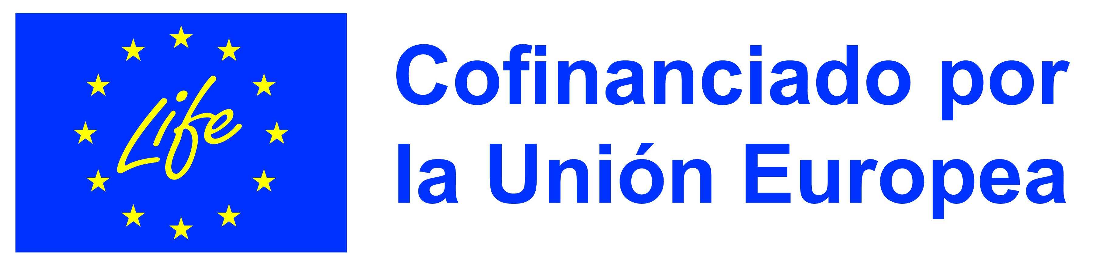 Imagen Proyecto Irene