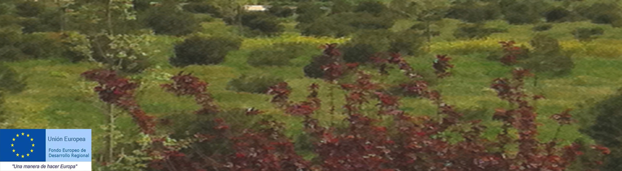 Parque Forestal de Villaverde. Fase II