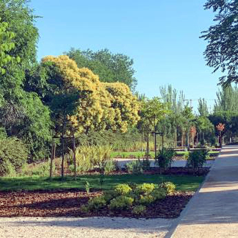 Plantaciones en el parque Alcalde Jesús Pérez Quijano