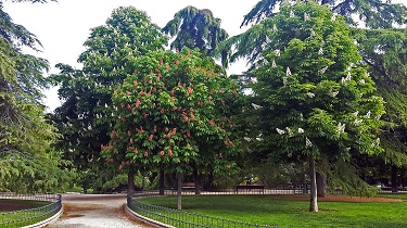 Parque Berlín en primavera