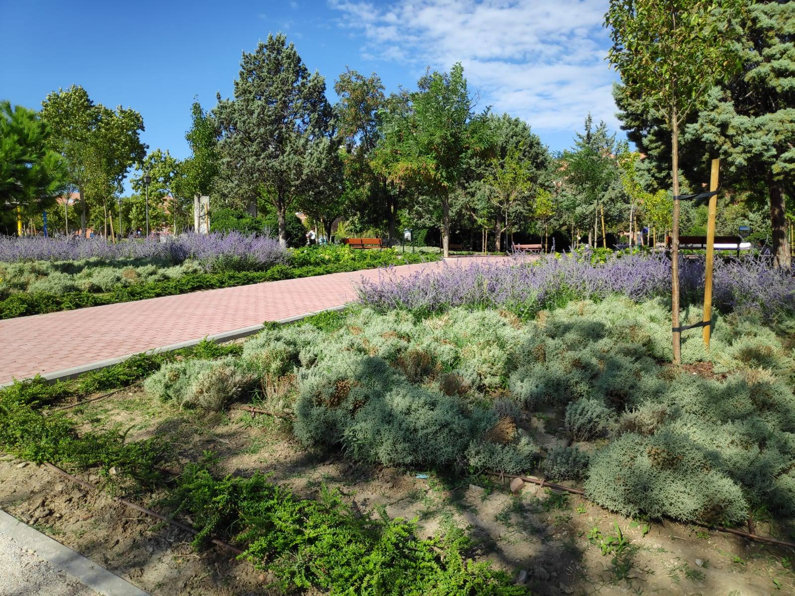 se observa un camino de baldosas flanqueado por dos zonas ajardinadas