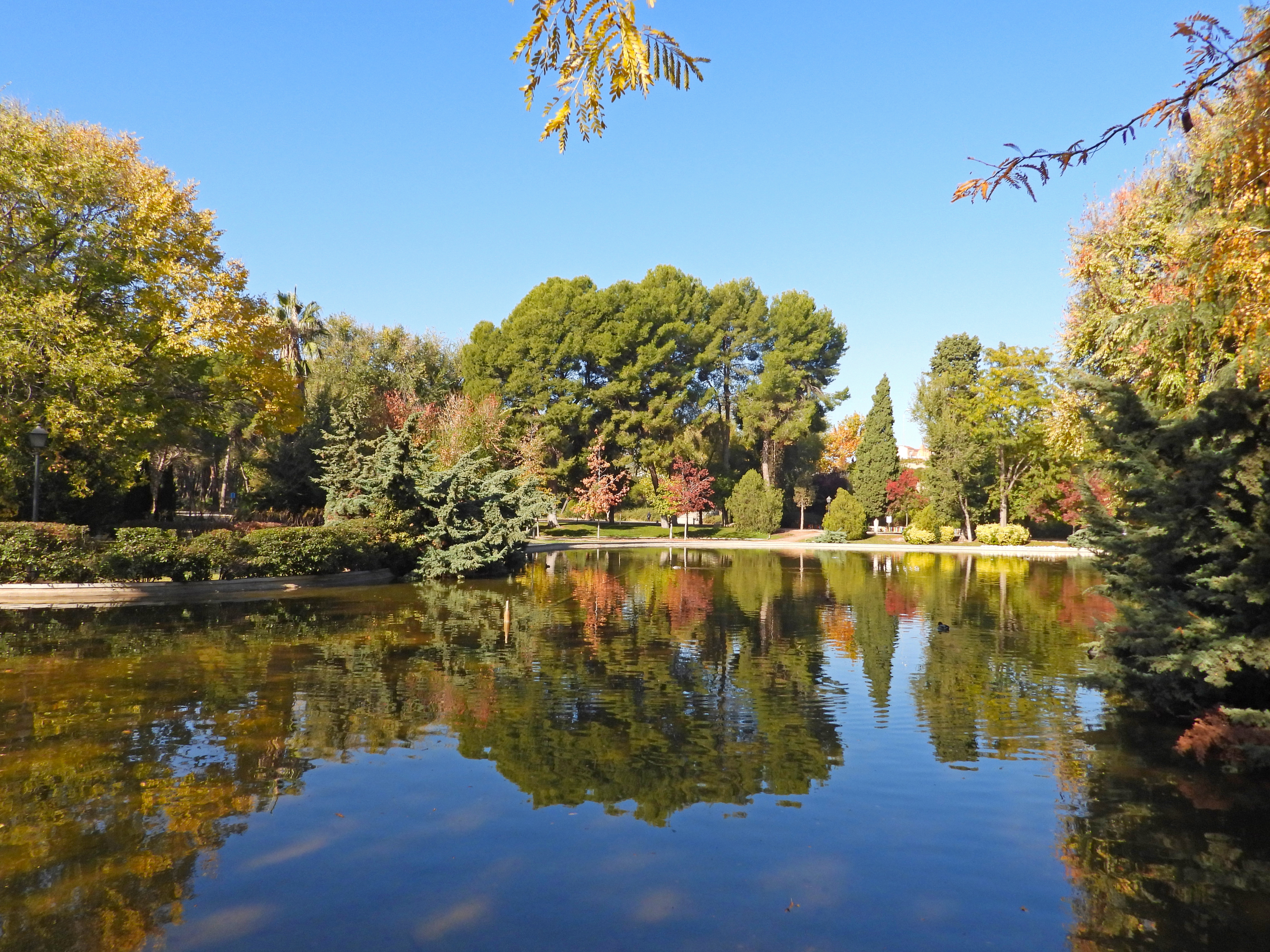 se observa un estanque rodeado de diversa vegetaci&oacute;n