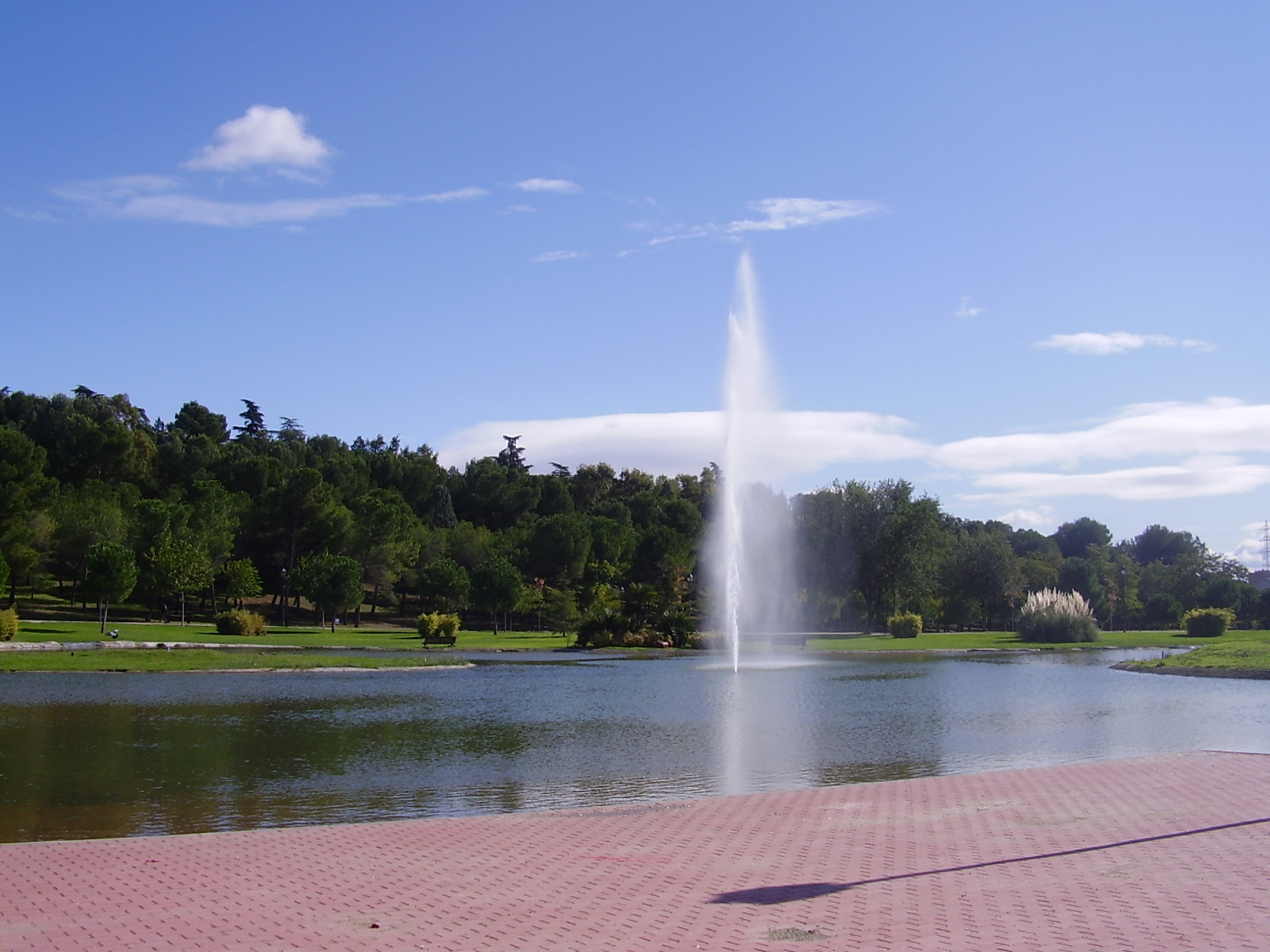 Se observa un lago con una fuente y zonas de c&eacute;sped con &aacute;rboles