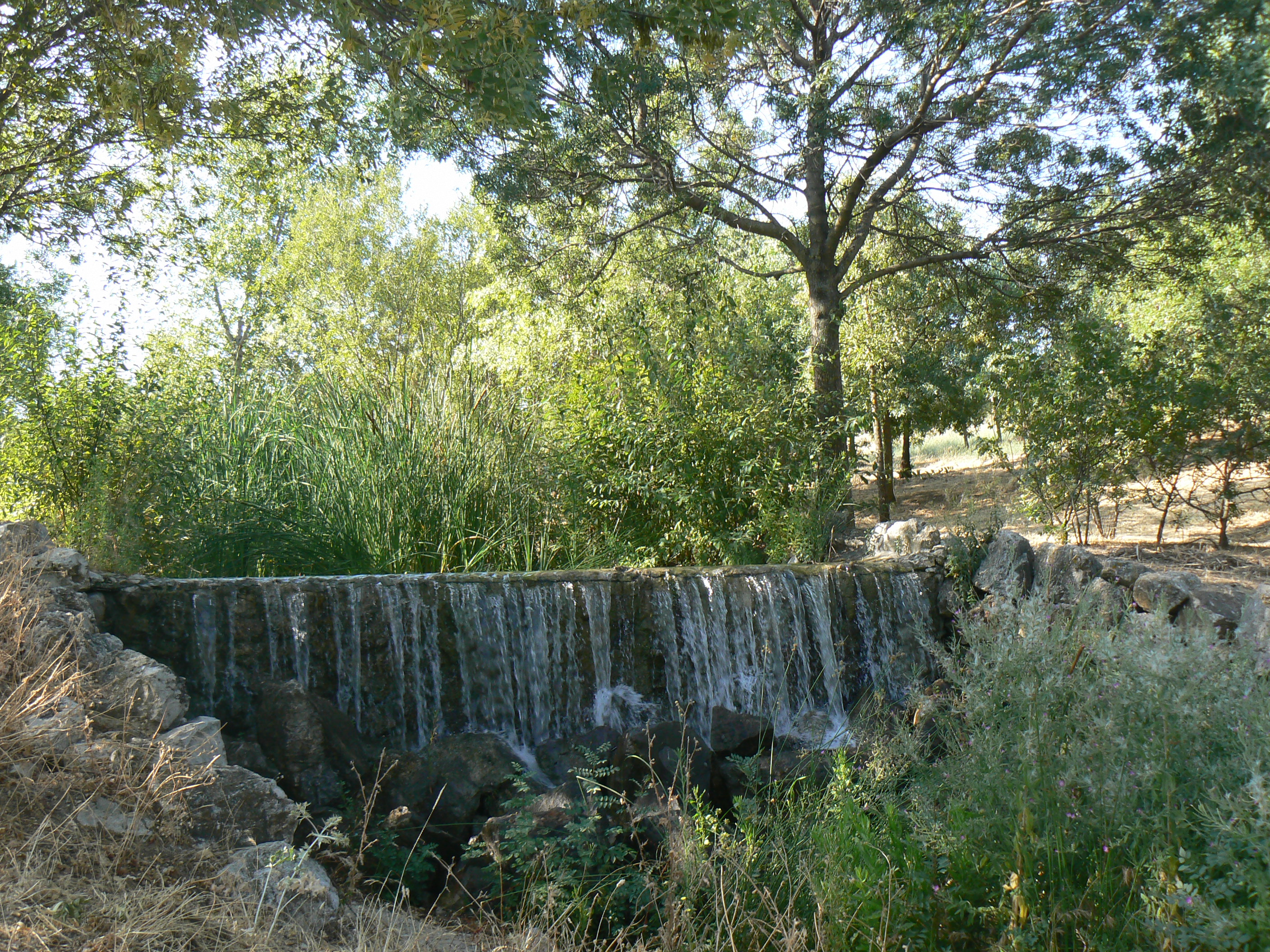 Foto Parque Felipe VI Cauce