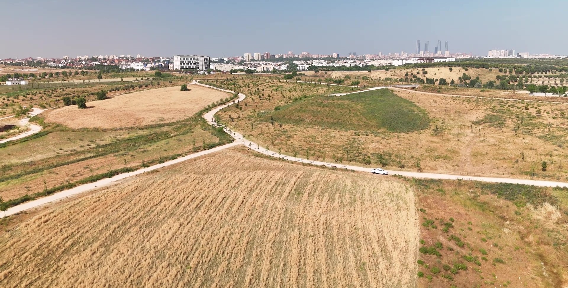 se observan unos cultivos en hileras