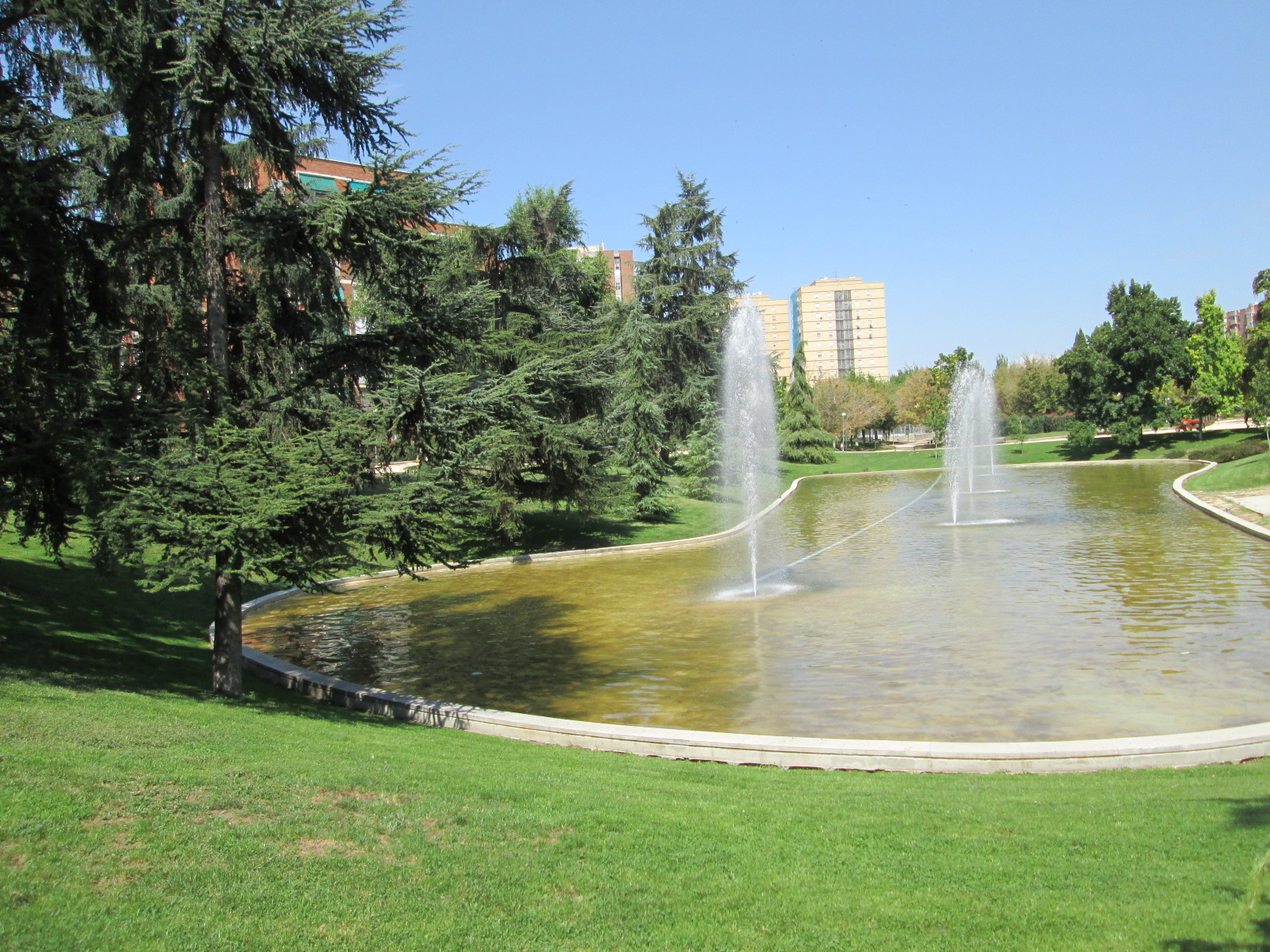 se observa un estanque con fuente rodeado de c&eacute;sped y &aacute;rboles