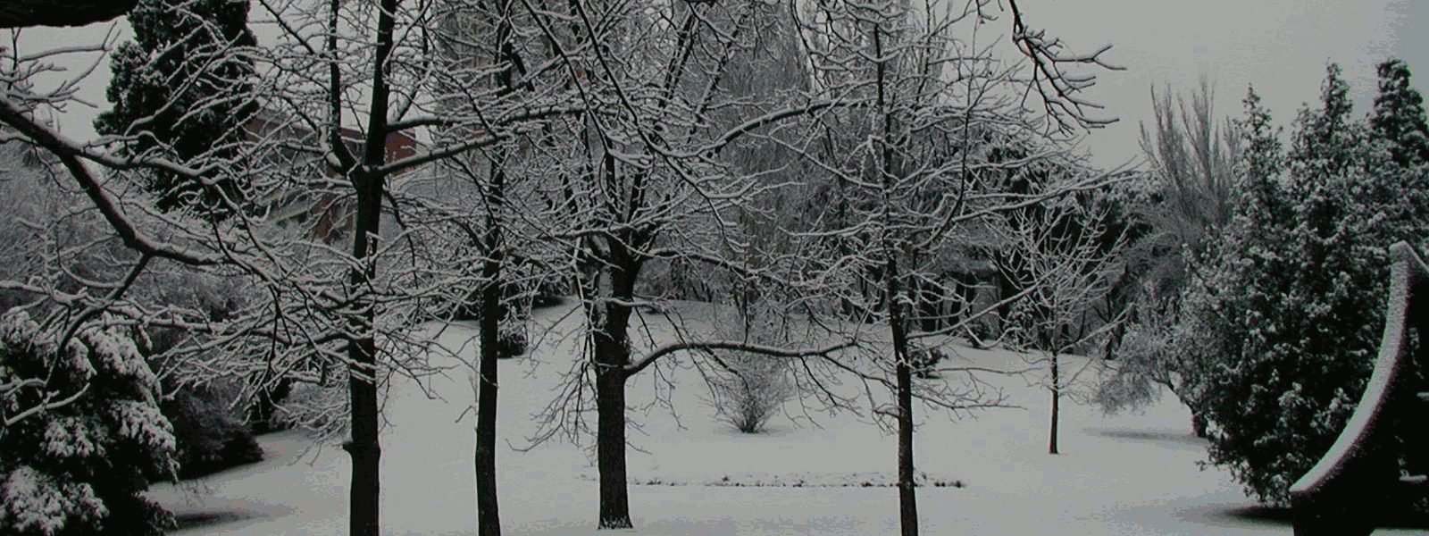 Imagenes Parque del Oeste