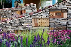 Muro de biodiversidad