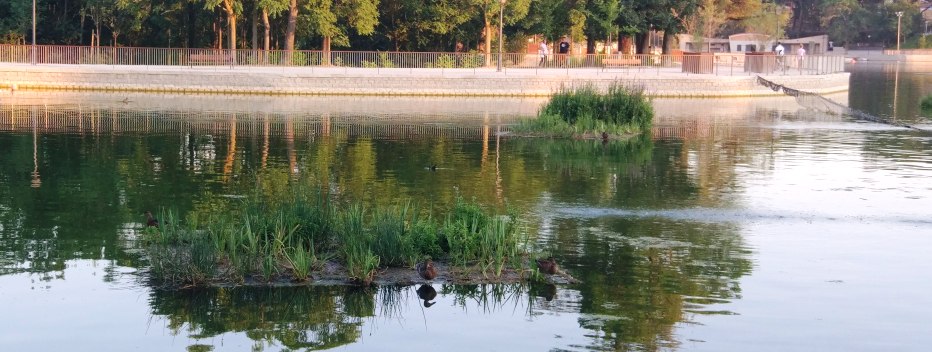 Lago de la Casa de Campo con dos isletas