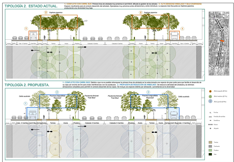 Propuesta del Plan de Regeneración del arbolado del Paseo de la Castellana