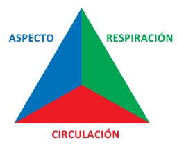 Triángulo de evaluación pediátrica