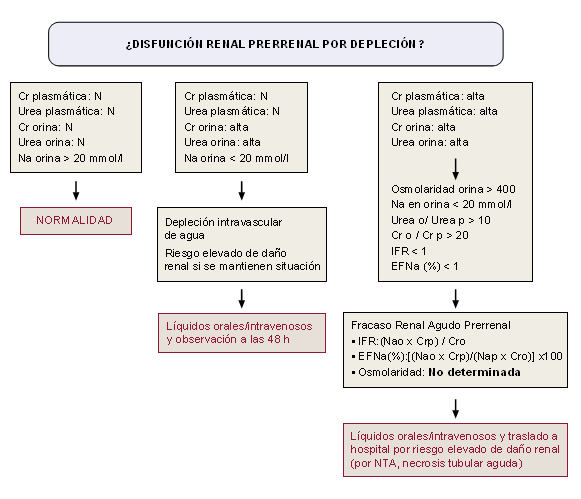 Parámetros de disfunción renal